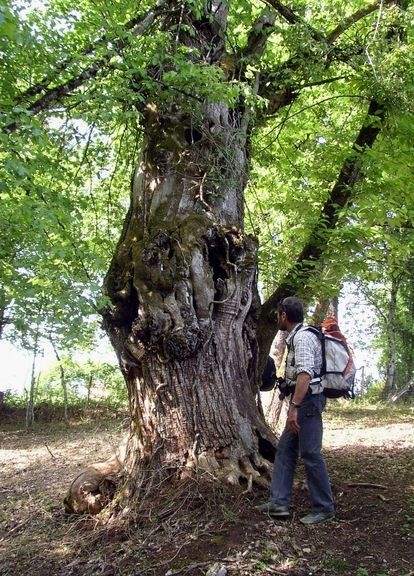 2008-05-Séjour à Martel-1